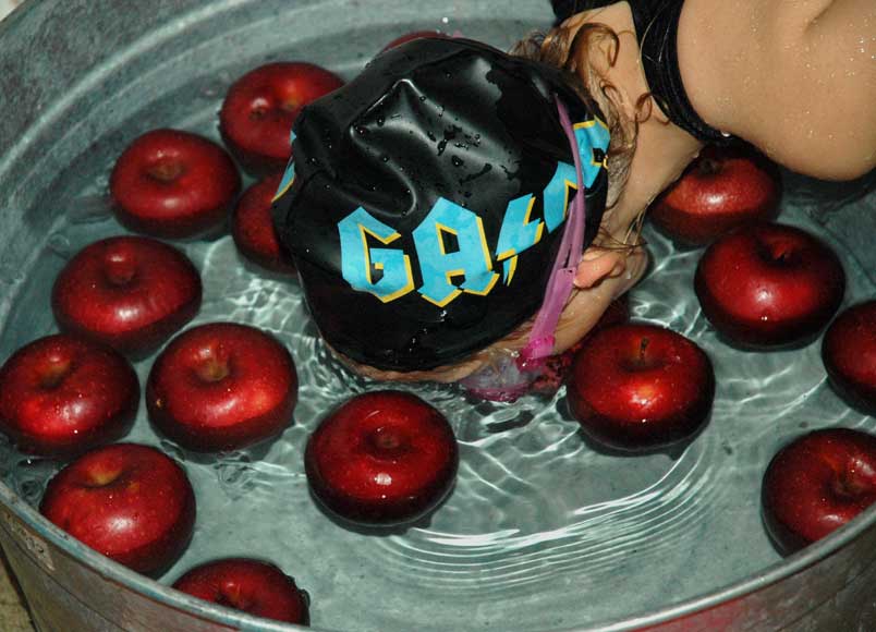 bobgaga